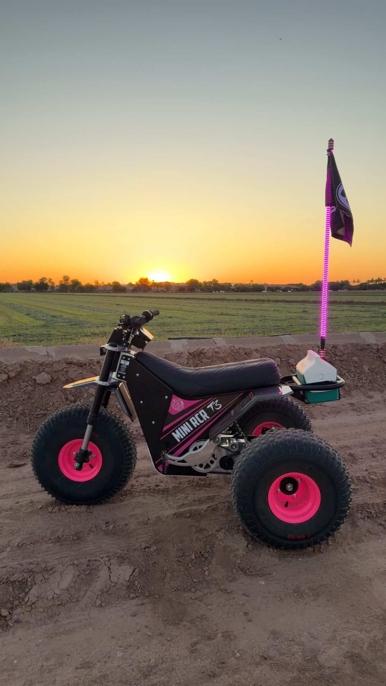 Game Changer Pink LED Whip Set | Malibu Barbie Pink | Marshin Whips
