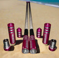 Pink and silver LED Lighted Whips Set