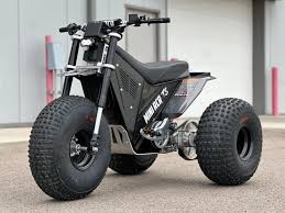Marshin Whips Mini RCR E-Bike